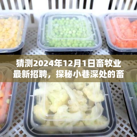猜测2024年12月1日畜牧业最新招聘，探秘小巷深处的畜牧新星，2024年12月1日畜牧业最新招聘抢先看