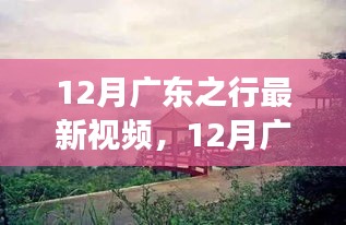 探索岭南风情，最新广东之行旅游视频
