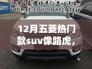 揭秘十二月五菱热门SUV车型，路虎风范的深度解析