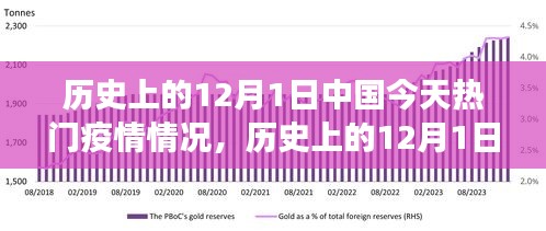 笨鸟先飞 第4页