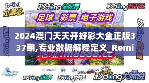 2024澳门天天开好彩大全正版337期,专业数据解释定义_RemixOS14.637-3