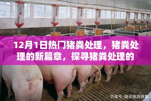 猪粪处理新篇章，探寻先进技术与趋势的特别报道（12月版）