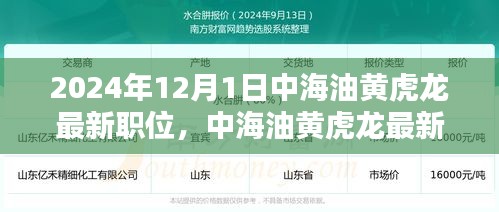 2024年12月1日中海油黄虎龙最新职位，中海油黄虎龙最新职位揭秘，2024年12月1日的职业高峰