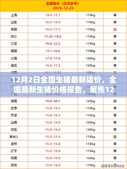 12月2日全国生猪最新价格报告，行业洞察与市场动态