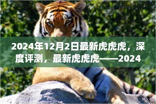 深度评测，最新虎虎虎——市场新星，2024年12月2日最新解读