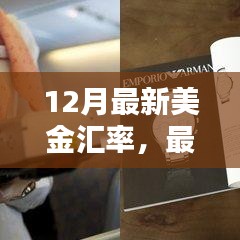 最新美金汇率解析，初学者与进阶用户的查询与理解指南（12月版）