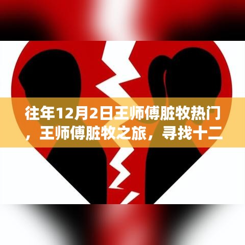 张睢阳齿 第4页