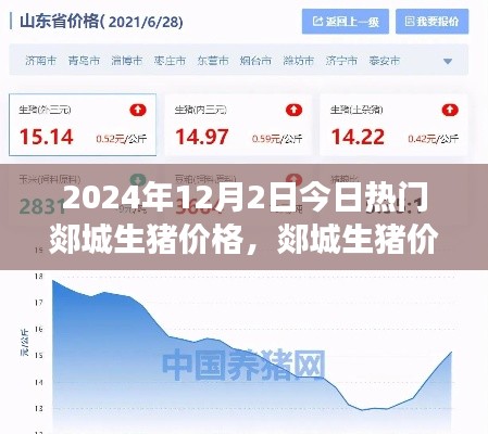 郯城生猪价格动态，今日市场观察与预测