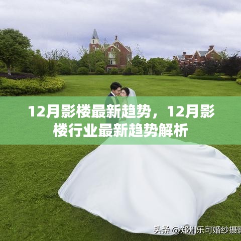 12月影楼行业最新趋势解析，潮流风向标