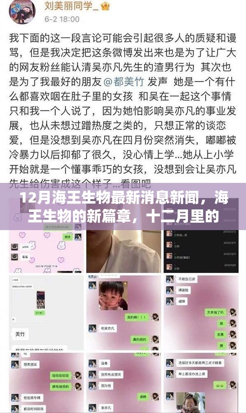 海王生物最新消息，十二月里的友情与家庭时光新篇章