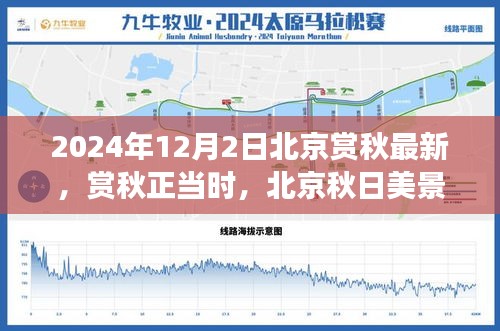 北京秋日美景探寻之旅，最新资讯与重点关注要点解析（赏秋正当时，2024年赏秋指南）