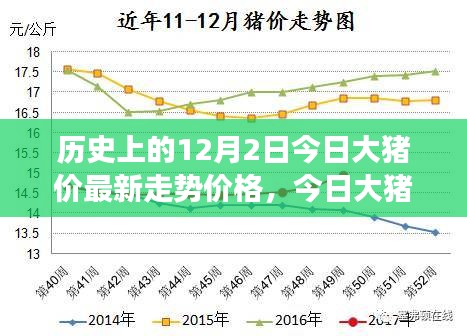 历史上的12月2日猪价走势回顾与最新预测，今日大猪价最新走势分析及演变趋势揭秘
