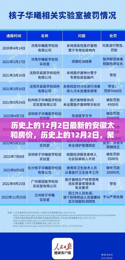 历史上的12月2日，聚焦安徽太和房价走势揭秘最新房价动态