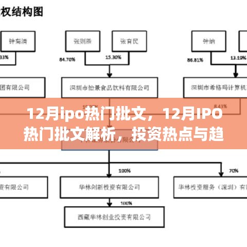 12月IPO热门批文详解，投资热点与趋势前瞻