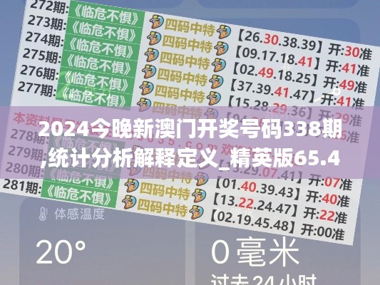2024今晚新澳门开奖号码338期,统计分析解释定义_精英版65.456-9