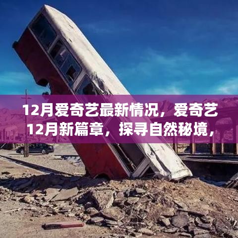 爱奇艺12月新篇章，探寻自然秘境，启程心灵之旅