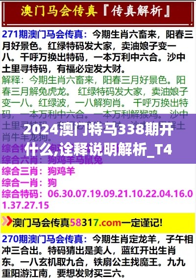 2024澳门特马338期开什么,诠释说明解析_T4.979-5