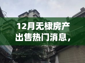 揭秘十二月无棣房产出售热门消息，小巷深处的宝藏与特色小店故事