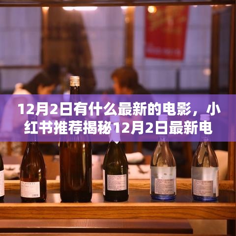 小红书推荐揭秘，12月2日最新电影盛宴，影视盛宴不容错过！