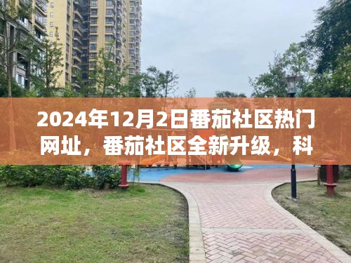 未来番茄社区全新升级，科技重塑生活，体验魅力时光