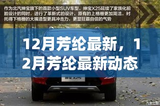 12月芳纶最新动态，引领时尚潮流，探索前沿科技新纪元