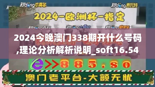 2024今晚澳门338期开什么号码,理论分析解析说明_soft16.546-7