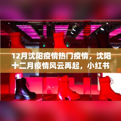 沈阳十二月疫情风云再起，小红书社区关注热点解析