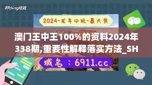 澳门王中王100%的资料2024年338期,重要性解释落实方法_SHD59.597-8