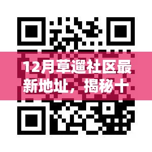 十二月草遛社区最新动态揭秘，带你探索最新地址与活动