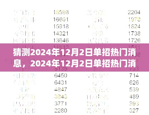 2024年12月2日单招热门消息全面解析，特性、体验、竞品对比与用户洞察一览