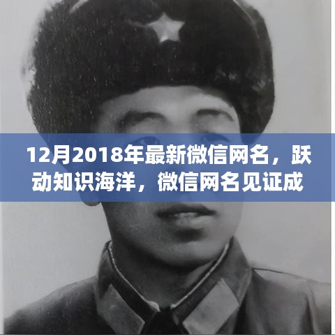 微信网名见证成长之路，跃动知识海洋，学习变化赋予自信与成就感（最新2018年12月版）