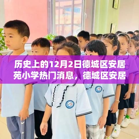 德城区安居苑小学，历史12月2日的美好瞬间与自然美景探险之旅