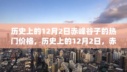 新闻 第517页