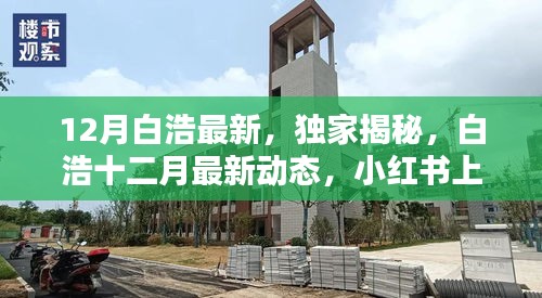 独家揭秘，白浩十二月最新动态，炙热新星在小红书上崭露头角