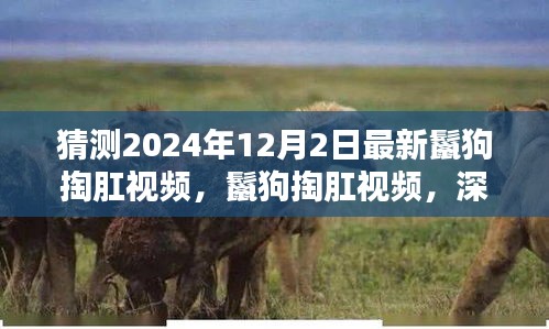 深度解析与观点阐述，最新鬣狗掏肛视频预测与解读