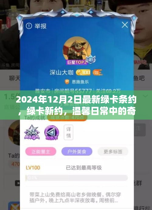 绿卡新约，日常奇遇与情感纽带的温馨篇章（2024年）