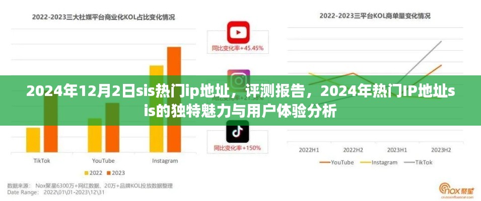 评测报告，SIS热门IP地址的独特魅力与用户体验分析（2024年12月版）