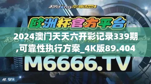 2024澳门天天六开彩记录339期,可靠性执行方案_4K版89.404-8
