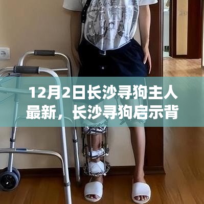 长沙寻狗启示背后的励志故事，自信成就感的奇妙旅程与成长学习变化之路