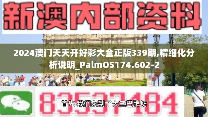 2024澳门天天开好彩大全正版339期,精细化分析说明_PalmOS174.602-2
