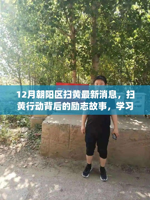 朝阳区扫黄行动背后的励志故事，学习变化，自信成就新篇章（12月最新消息）