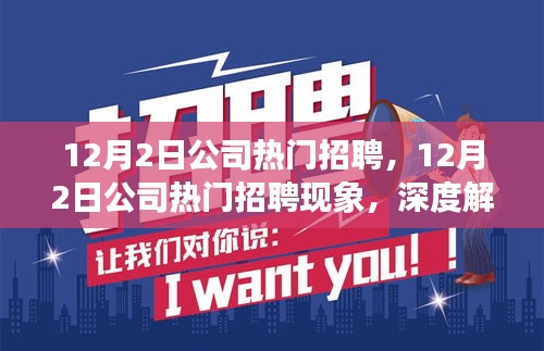 12月2日公司热门招聘现象深度解析与观点阐述