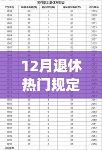 12月退休指南，规定、手续全攻略与准备步骤