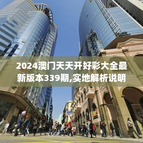 2024澳门天天开好彩大全最新版本339期,实地解析说明_特供款28.732-2
