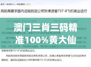 澳门三肖三码精准100%黄大仙339期,实地策略验证计划_Pixel31.591-6