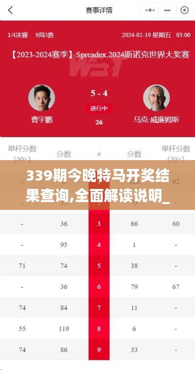 339期今晚特马开奖结果查询,全面解读说明_The60.435-9