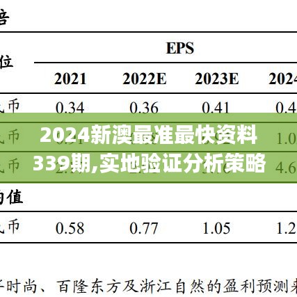 2024新澳最准最快资料339期,实地验证分析策略_P版19.180-8