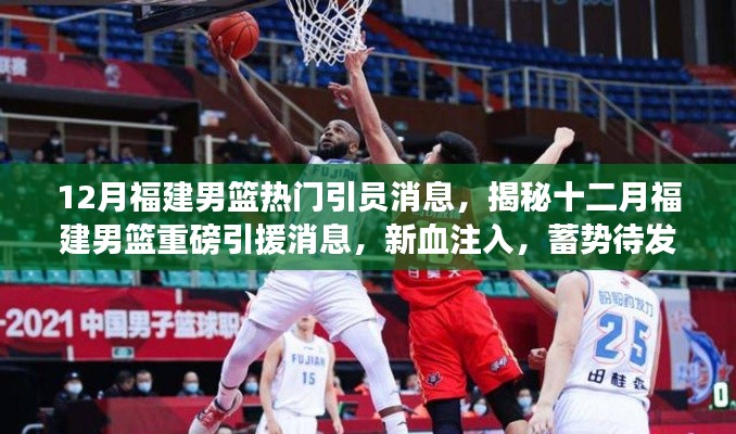 揭秘十二月福建男篮重磅引援新动态，新血注入，蓄势待发