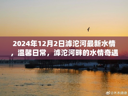 滹沱河畔的水情奇遇与深厚友情，最新水情与温馨日常记录