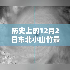 历史上的12月2日东北小山竹最新视频观看全攻略及最新视频轻松掌握！